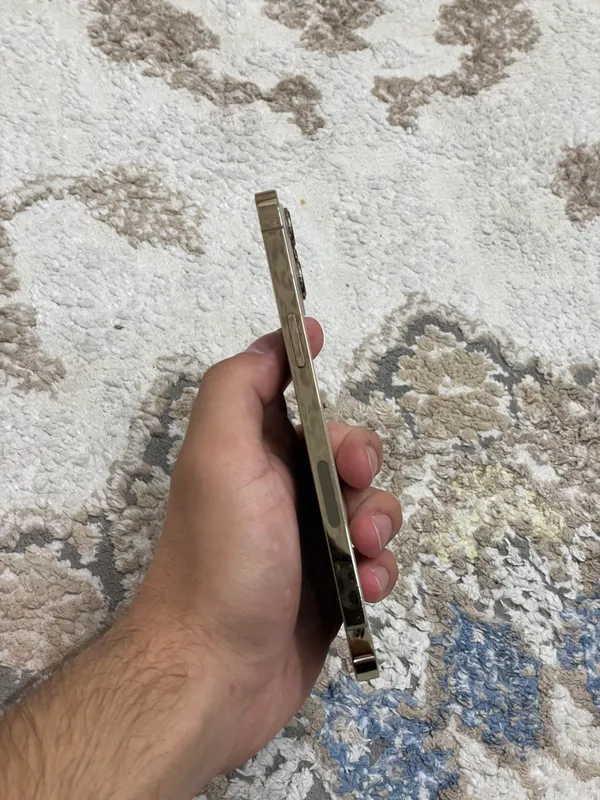 Iphone 12 Pro Max 1