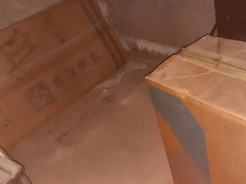 Le jang s 5 3 Le jang s 5 3