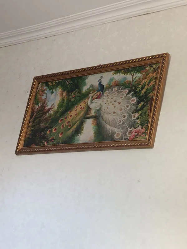 картинка картинка