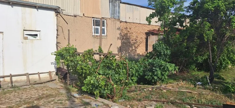 Eskishahar Mirsaid Bahrom ko'chasida hovli sotiladi — фото 3