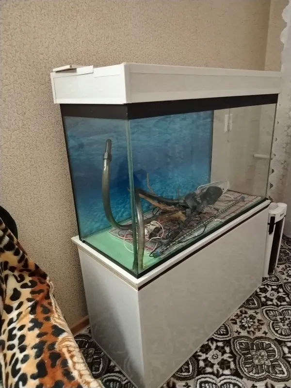 Akvarium, 240 l, o‘rnatilgan ventilyatorli qopqoq 1 Akvarium, 240 l, o‘rnatilgan ventilyatorli qopqoq 1