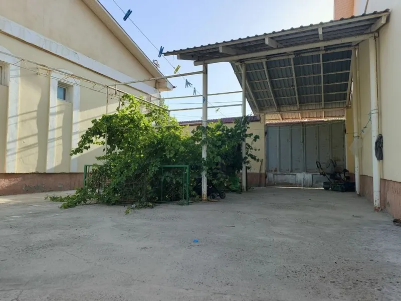 Qorovulbozordan 6sotixli kotej hamma sharoitlarga ega — фото 7