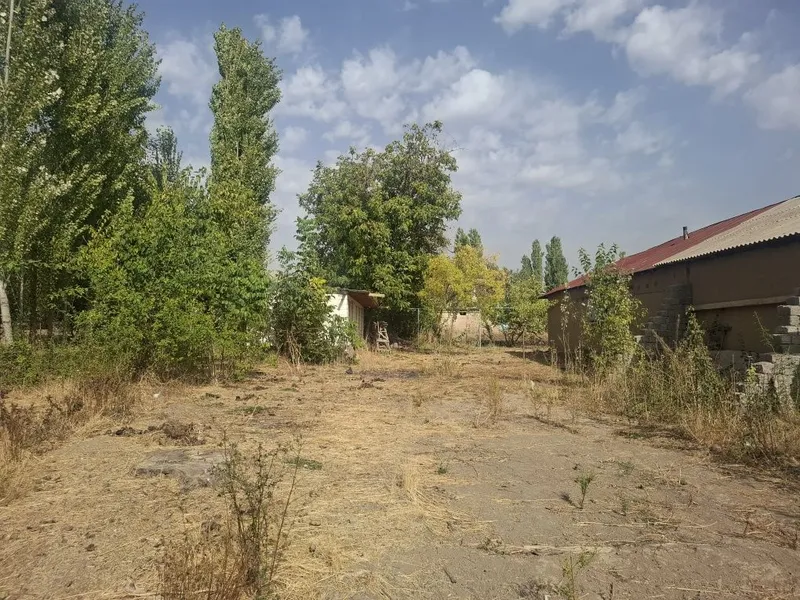 Oqtosh dacha uchun karopka joy