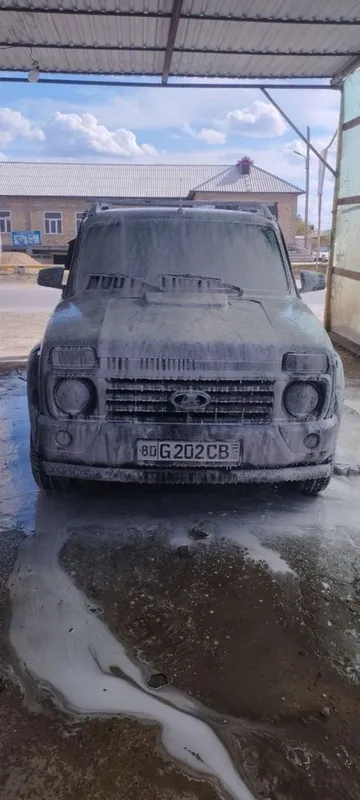 Нива ажойиб холатда. 1