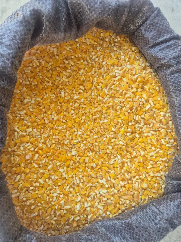 Joxori Goja toza