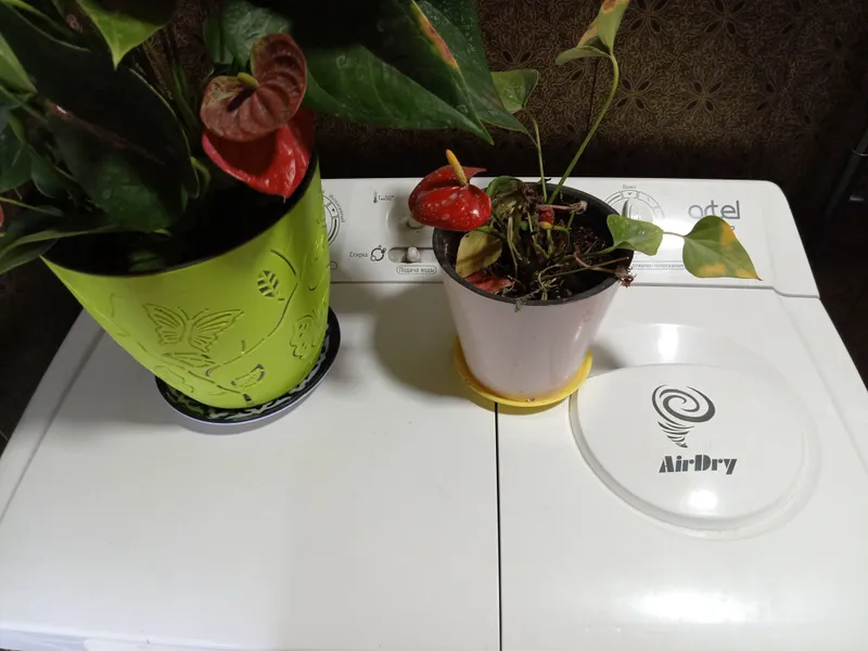 10 kg mli artel kir yuvish mashinasi 2