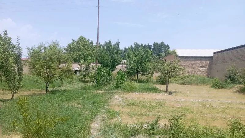 Участка 16 соток, Челак центра 2 Участка 16 соток, Челак центра 2