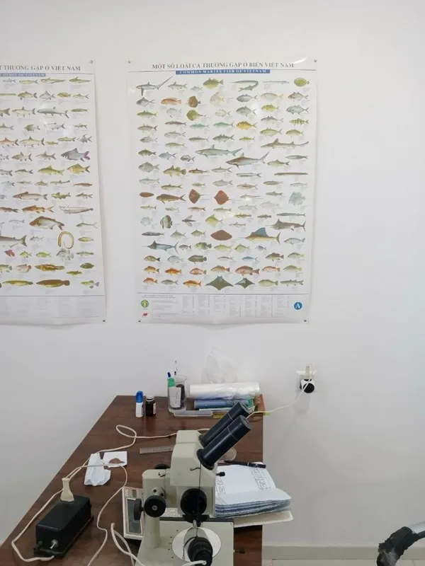 Artemiya cistasıga dastlabki qayta ishlash va saqlash (+Laboratoriya) 3 Artemiya cistasıga dastlabki qayta ishlash va saqlash (+Laboratoriya) 3