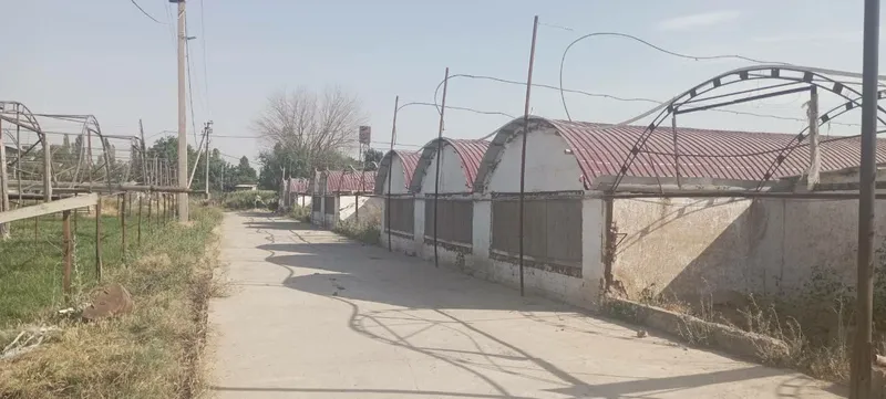 Sotiladi tijorat yer uchastkasi (issiqxona) 3