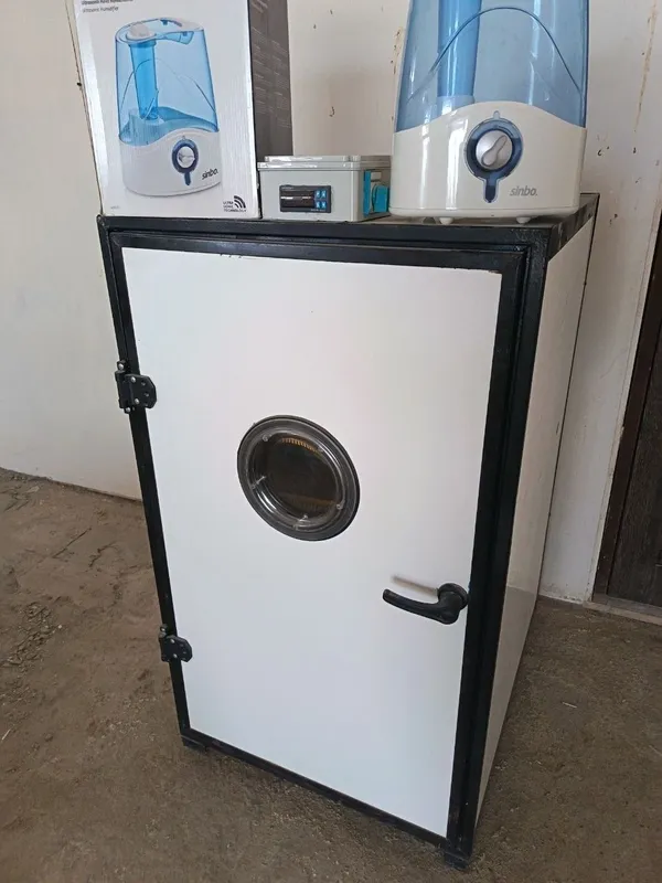 Inkubator 500 talik