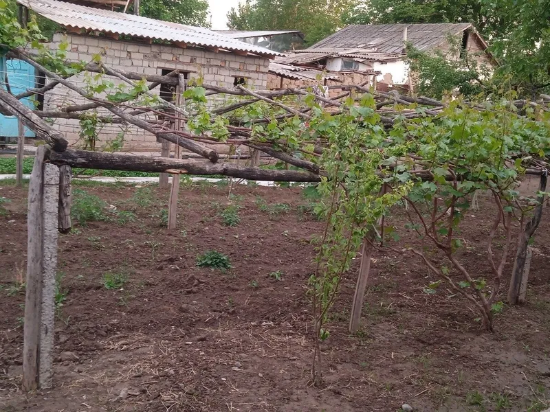 Uy sotladi прадайотса дом срочна — фото 8