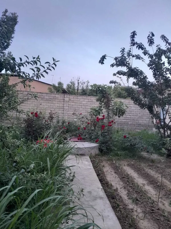 Yangiyo'l tumani, Tinchlik QFYda 10 sotix 2 etajli xovli — фото 5 Yangiyo'l tumani, Tinchlik QFYda 10 sotix 2 etajli xovli — фото 5
