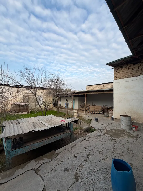 Hoxli sotiladi 8 sotiq qarshi shaxar 6