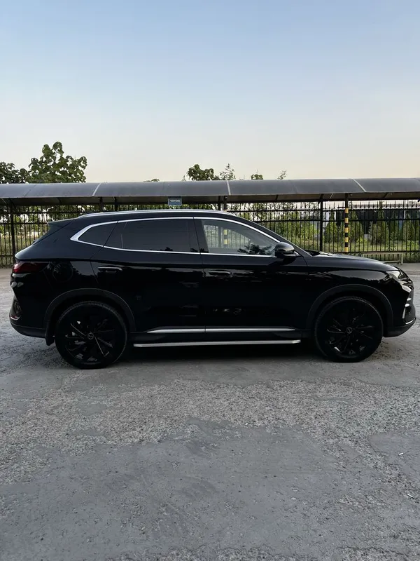 byd champion 605km — фото 4