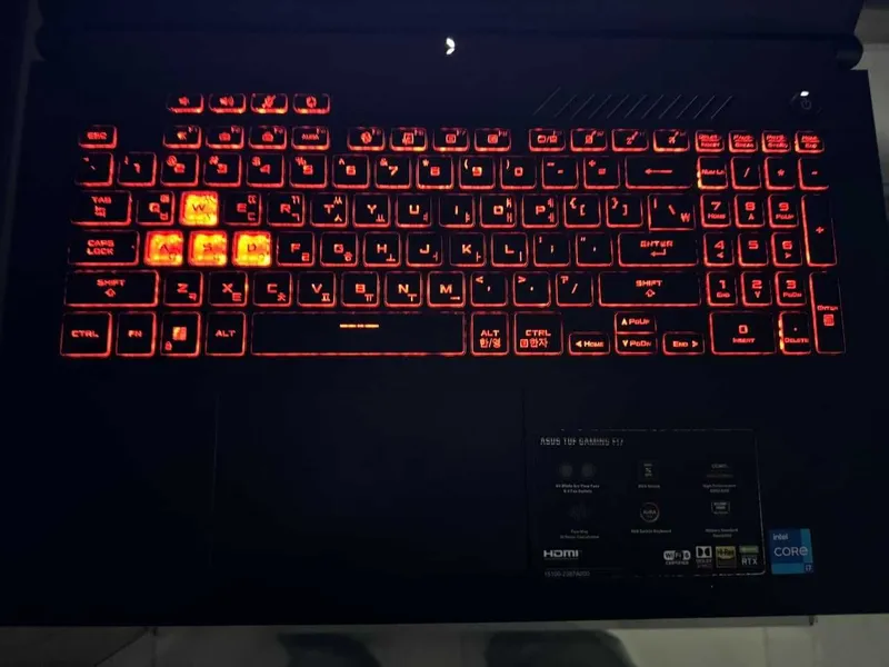 ASUS Gaming TUF F17 Core i7-12700H RAM 16 Gb SSD 1T RTX 3060 6гб 5 ASUS Gaming TUF F17 Core i7-12700H RAM 16 Gb SSD 1T RTX 3060 6гб 5