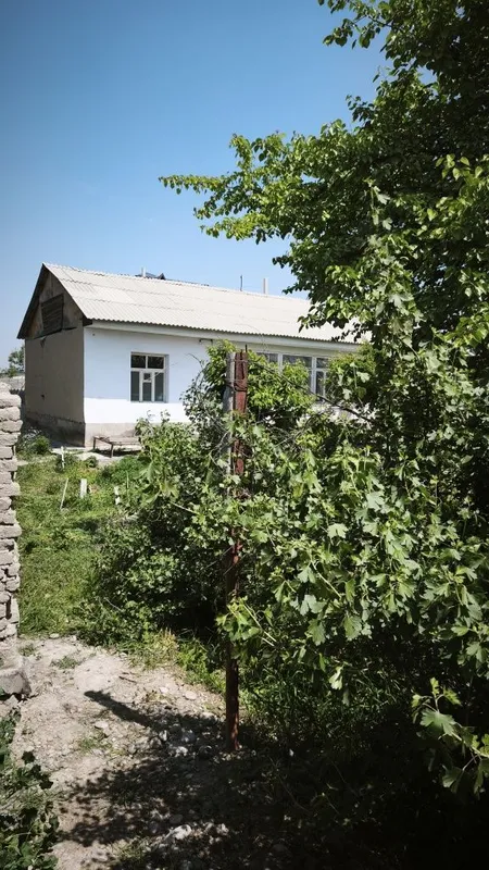 Ховли уй сотилади — фото 5