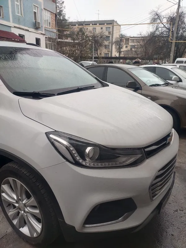 Brinchi qoʼl kraskasi tozza 1 Brinchi qoʼl kraskasi tozza 1