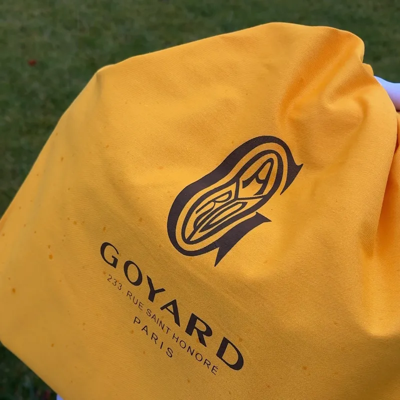 Goyard Artois PM Сумка 5