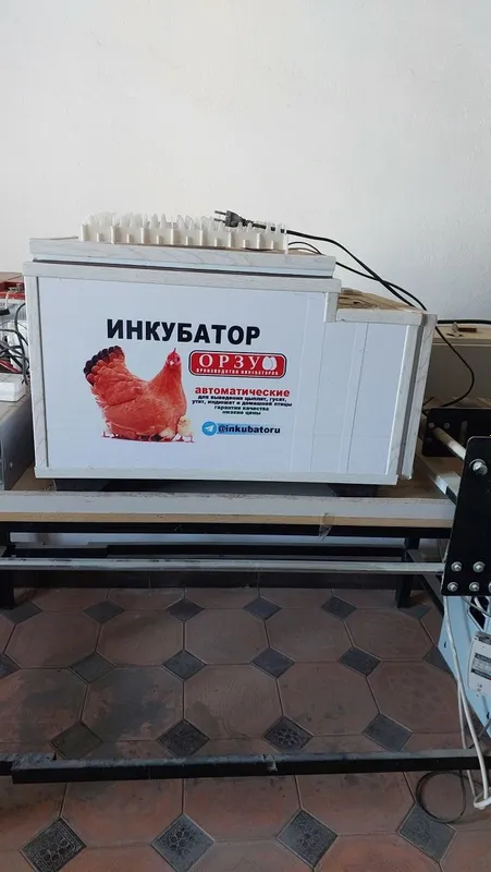 Ingubatir yengi Sirochni