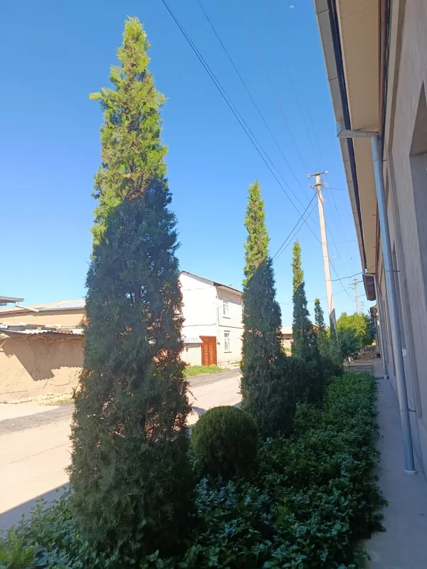 Shar,skelet va pryamoy archalar tayyor kesilgan — фото 5