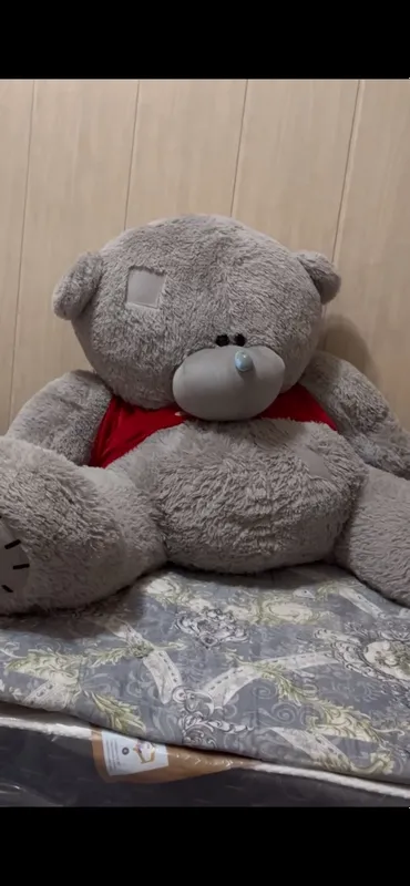 ayiq teddy katta kelishtirib srochno sotiladi ayiq teddy katta kelishtirib srochno sotiladi