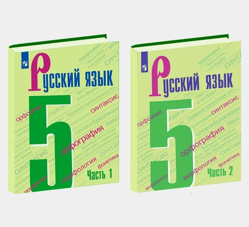 Доставка. Русский язык 5,6,7,8,9 класс Ладыженская — фото 1
