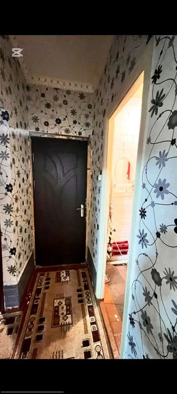 Спутник 15 Дустлик 3 ком 1 этаж разделка средний — фото 3
