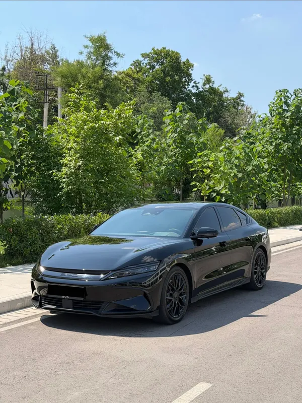 Byd han 3.9s awd dual motor. Тозза полный бронь