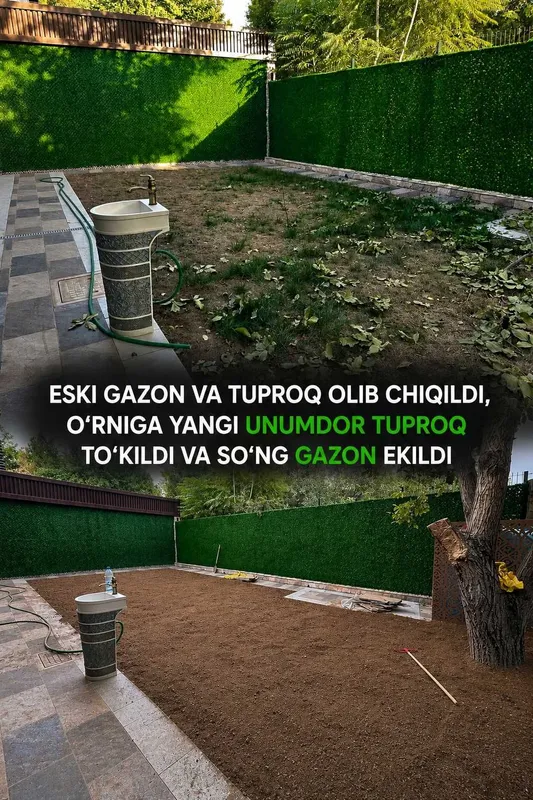 Hovli darajasini ko‘tarish va daraxt ekish uchun unumdor tuproq — фото 4