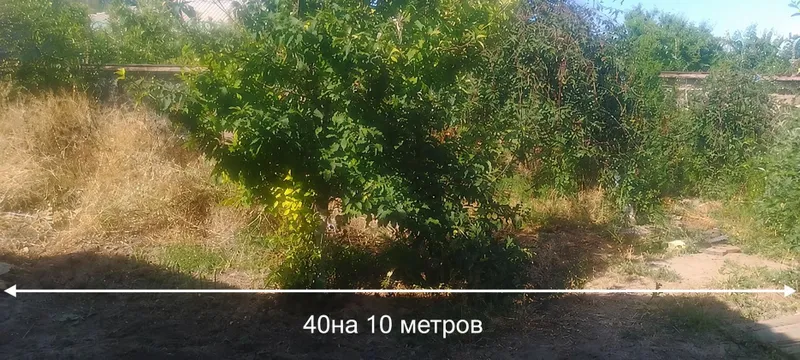 Есть свет, вода газ и центральная канализация Есть свет, вода газ и центральная канализация