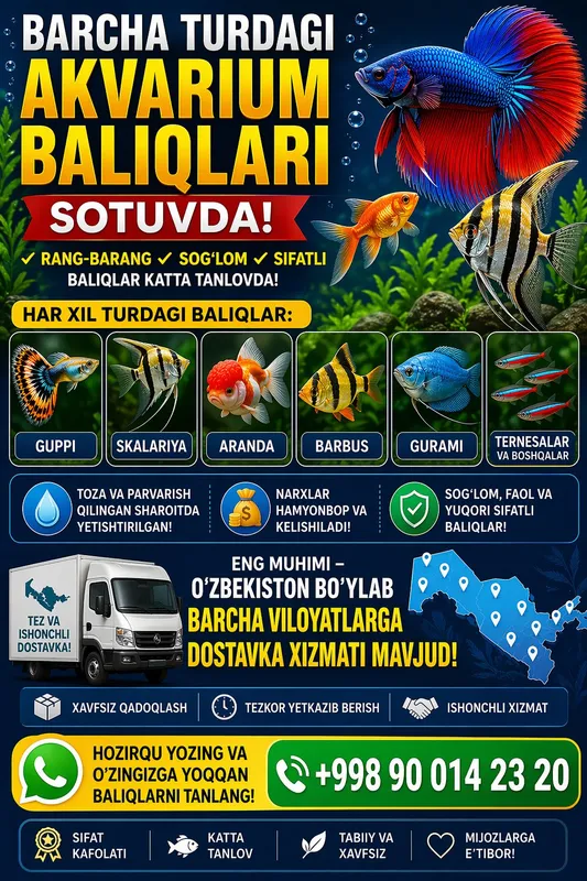 xarxl turdagi akvarium baliqlari