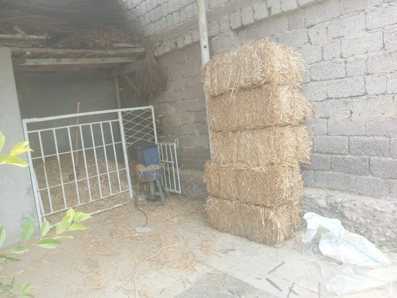 Suvoq ishlarini qilamiz 5 Suvoq ishlarini qilamiz 5