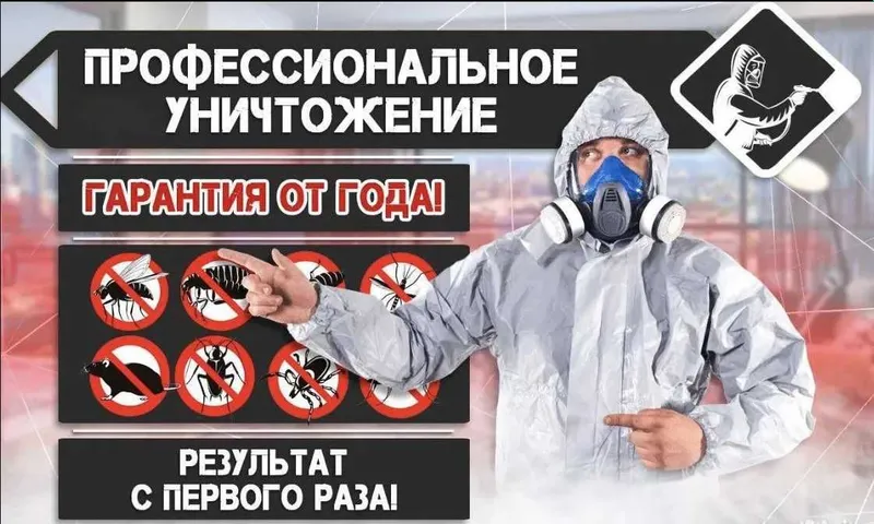 Dizinfeksiya klapa chumoli tarakan дезинфекция дезинсекция dezinfeksiy