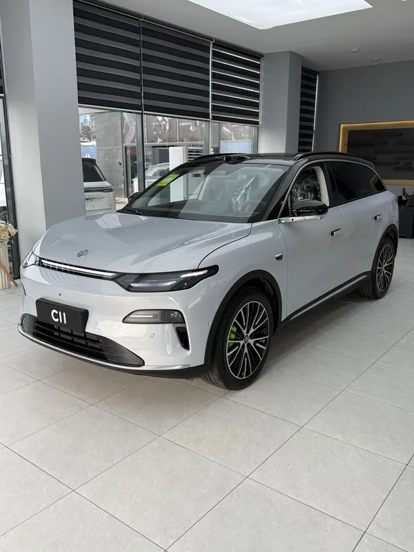 Leapmotor c11 300 km gibrit