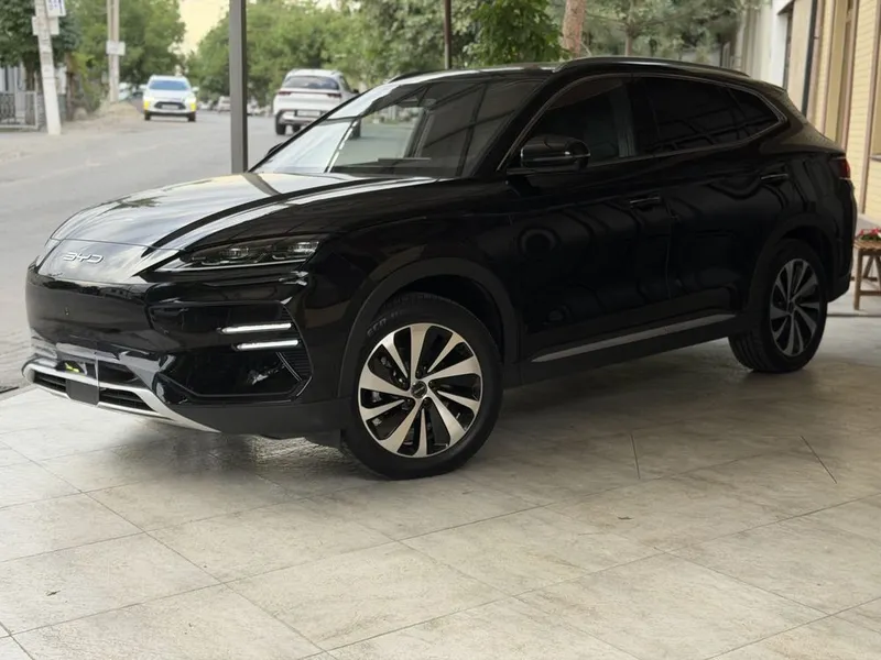 BYD song champion ev