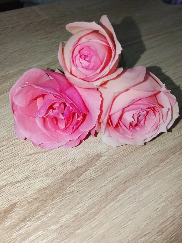 розы
