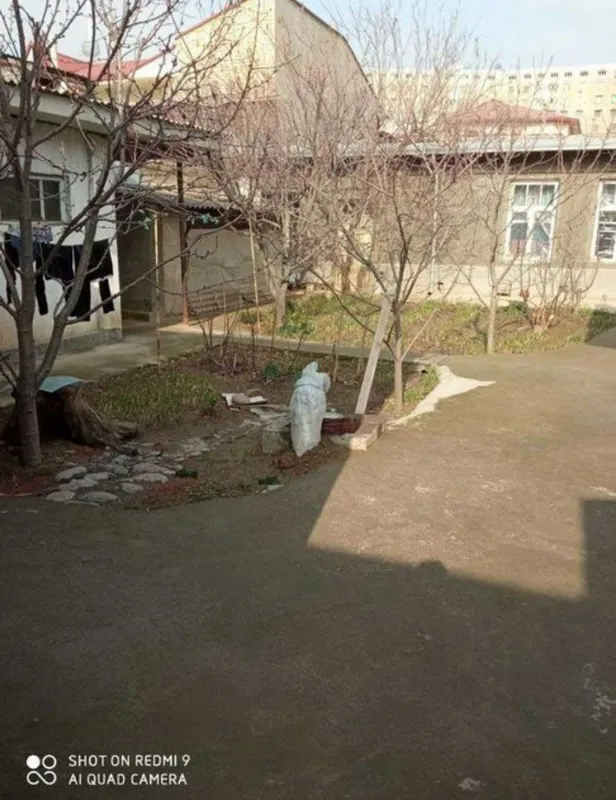 Юнусабадский бодомзор — фото 2