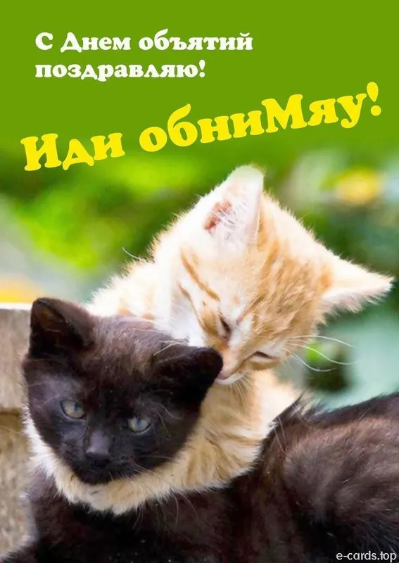 Гостинница передержка для Ваших питомцев любимчиков
