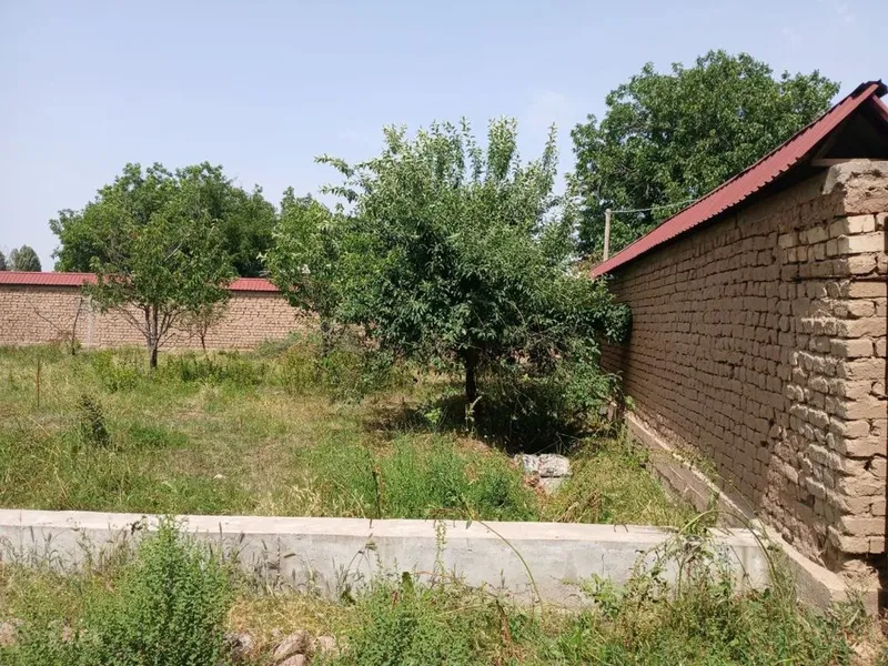 продаётся земля на 20*30 г забор есть. — фото 5
