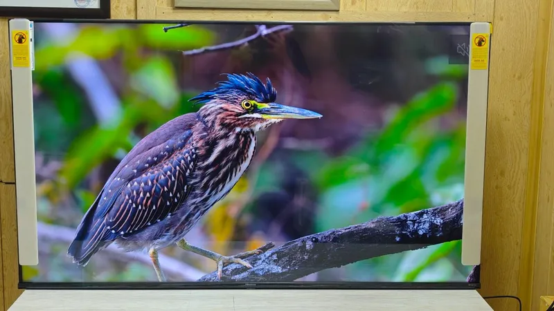 Телевизор Hisense 55A63H