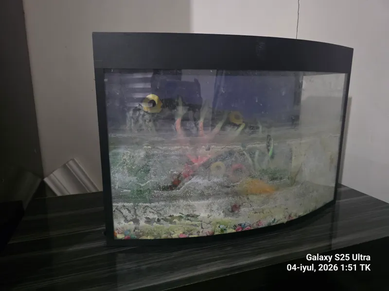 Аквариум продаётся Аквариум продаётся