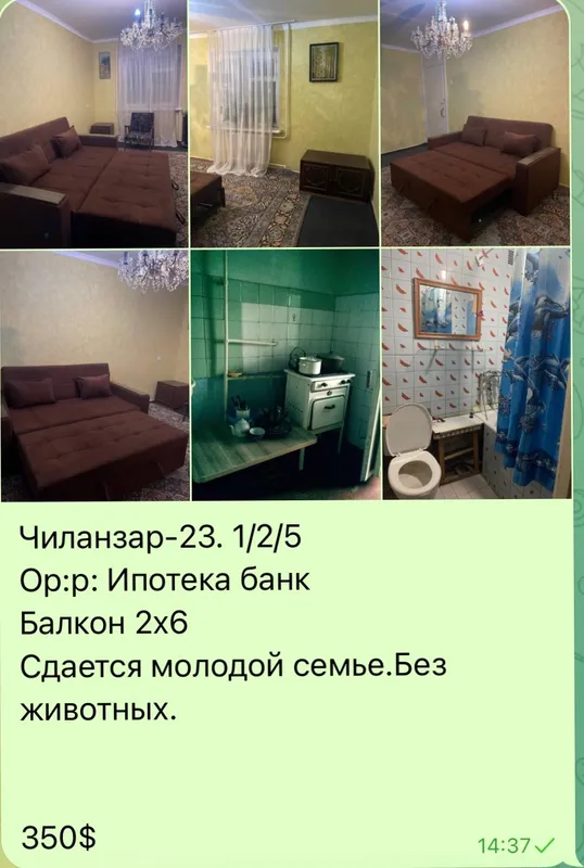 Сдается однокомнатная квартира