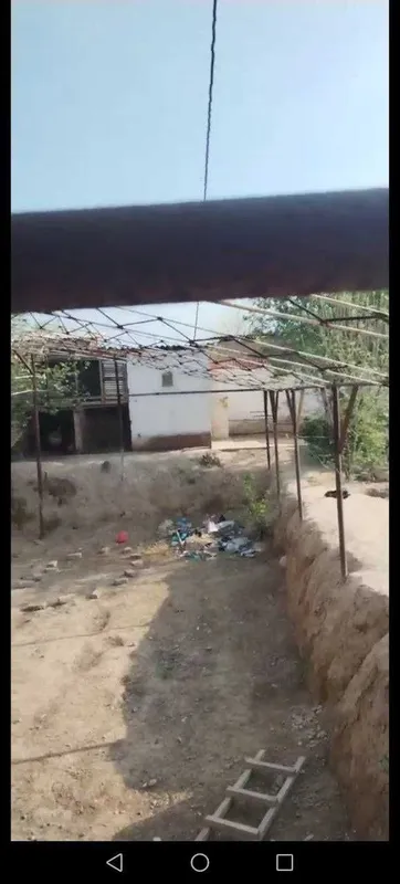Teplitsa sotiladi