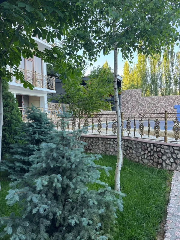 Dacha Manzara toğyon bağrida — фото 6