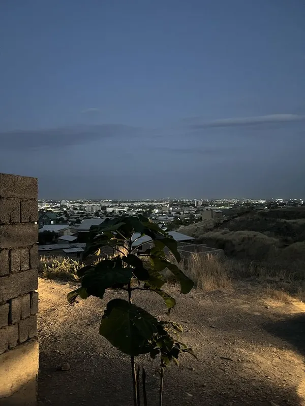 Yangi qurilgan uchastkalar sotiladi