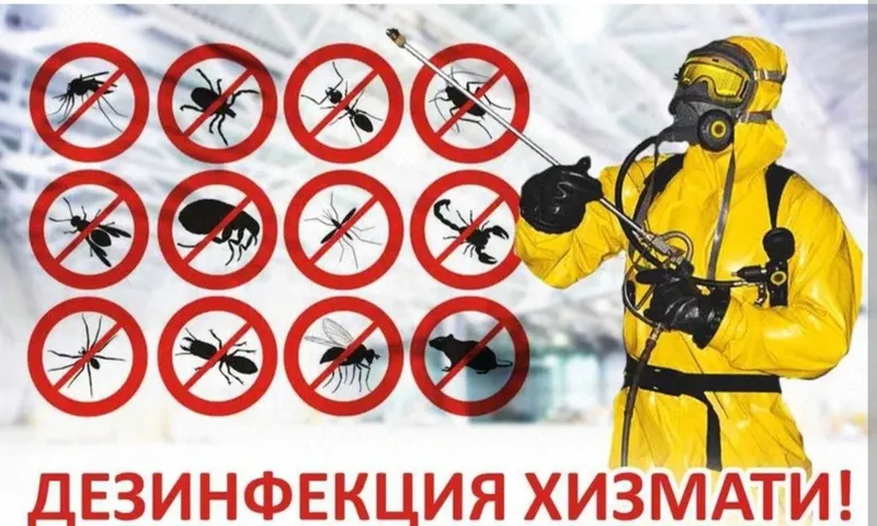 Dizinfeksiya xizmati Dizinfeksiya xizmati