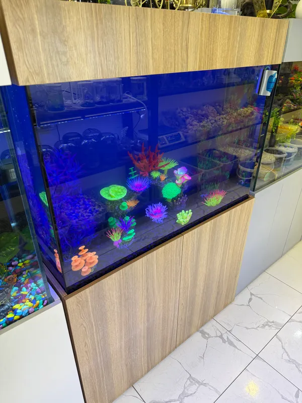 akvarium sotiladi 400 litrli 2 akvarium sotiladi 400 litrli 2