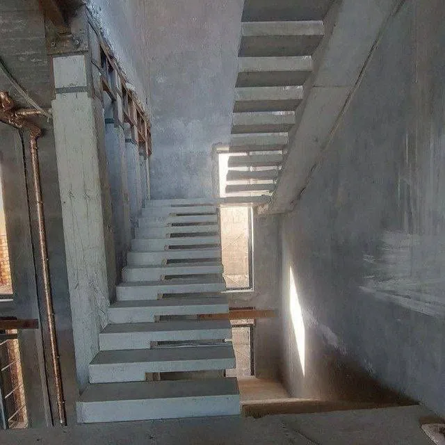 Зина леснитца (beton zina) — фото 1