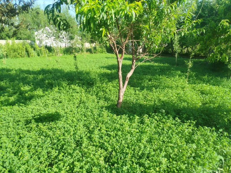 продам 6 соток дом — фото 1