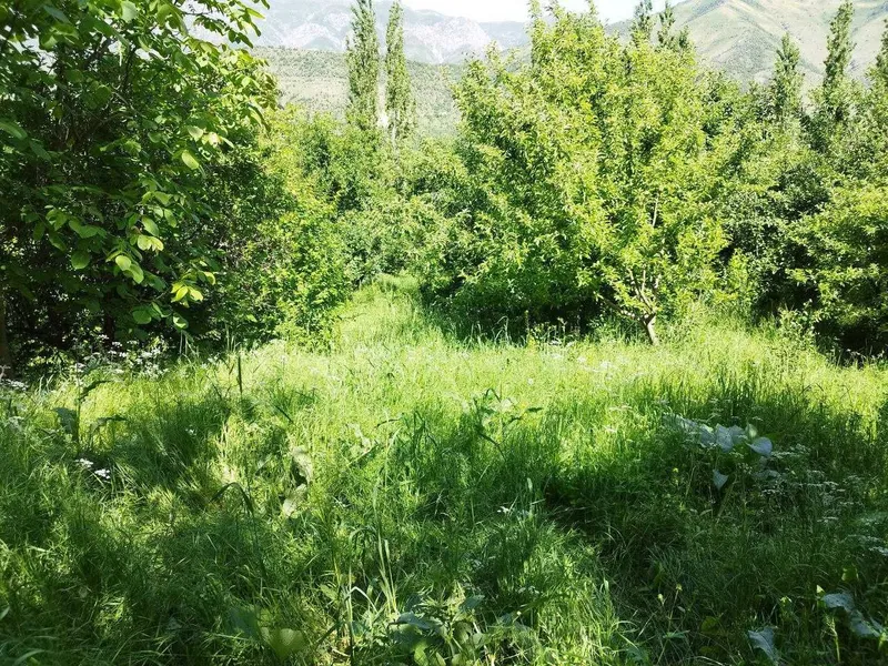 Земельный участок 10+8 сот с ордером в горах /Нанай/ — фото 8